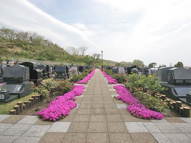 メモリアルパーク花の郷墓苑 厚木宮の里　芝桜に沿うようなゆとりある参道