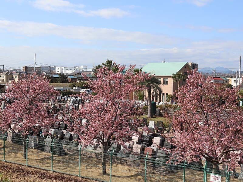 平塚四之宮霊園　花咲く木々に彩られた墓域