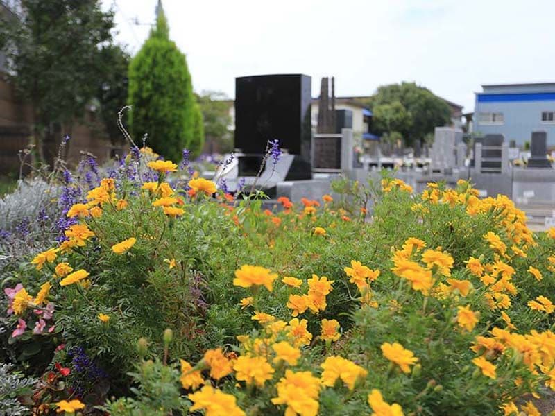 さくらメモリアルパーク　様々な花に囲まれた園内