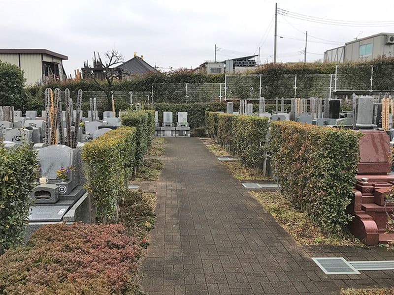 新座墓苑　平坦な参道