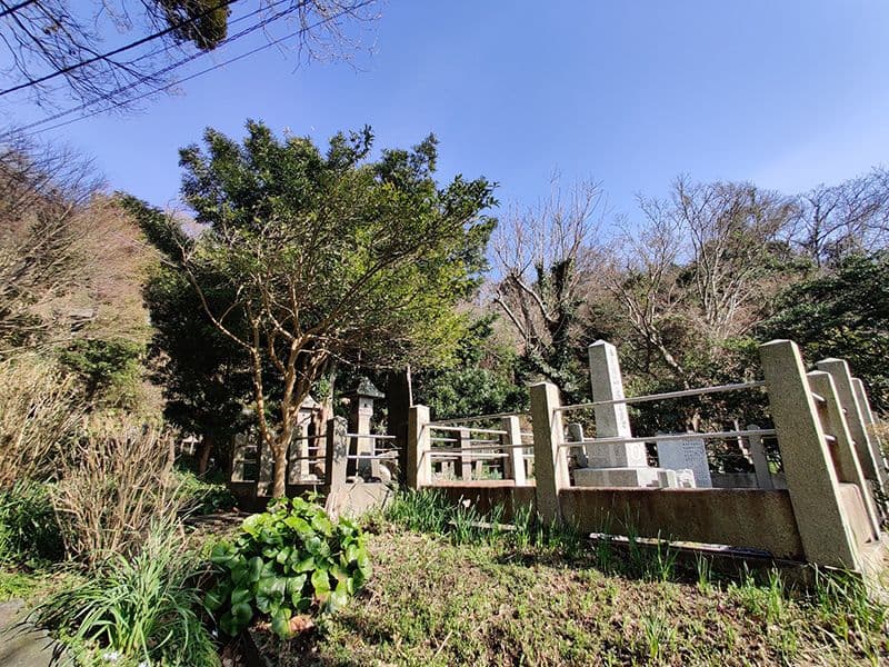 佐助共同墓地　墓石近くに生い茂る木