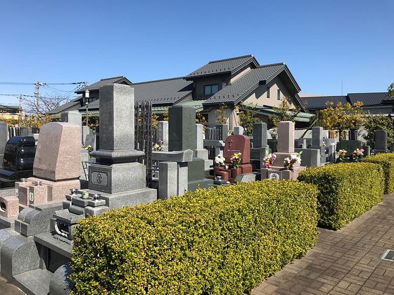 メモリアル草加南霊園　緑が添えられた参道