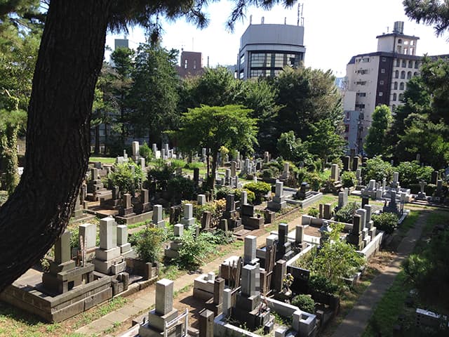 青山霊園と背後に都会のビル