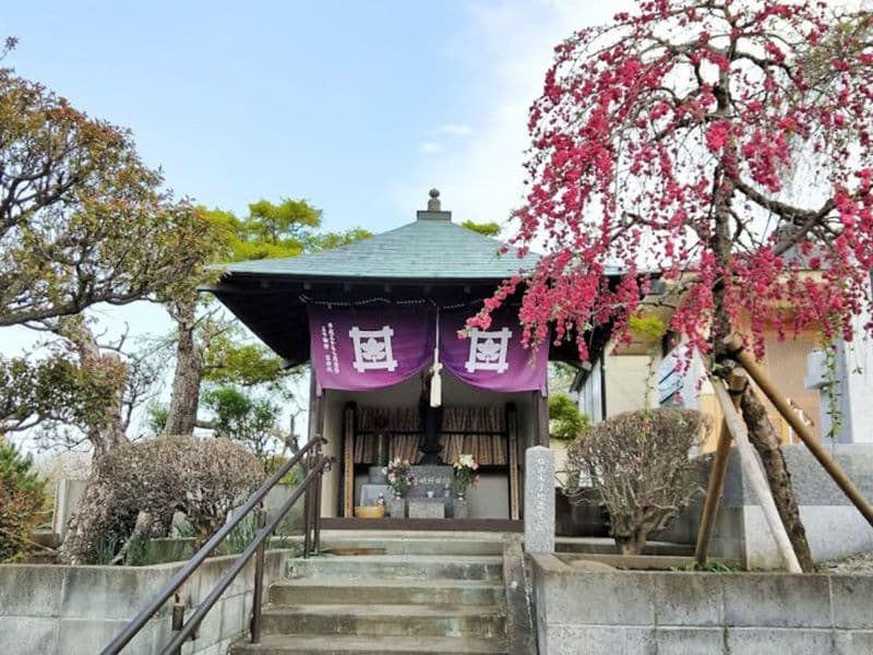 妙傳寺 のうこつぼ
