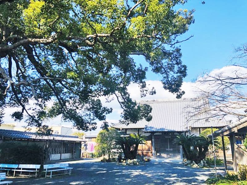 祥雲寺 のうこつぼ