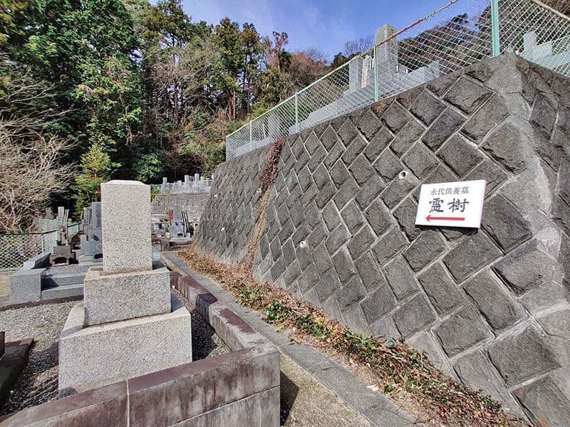 逗子霊苑　霊樹への参道
