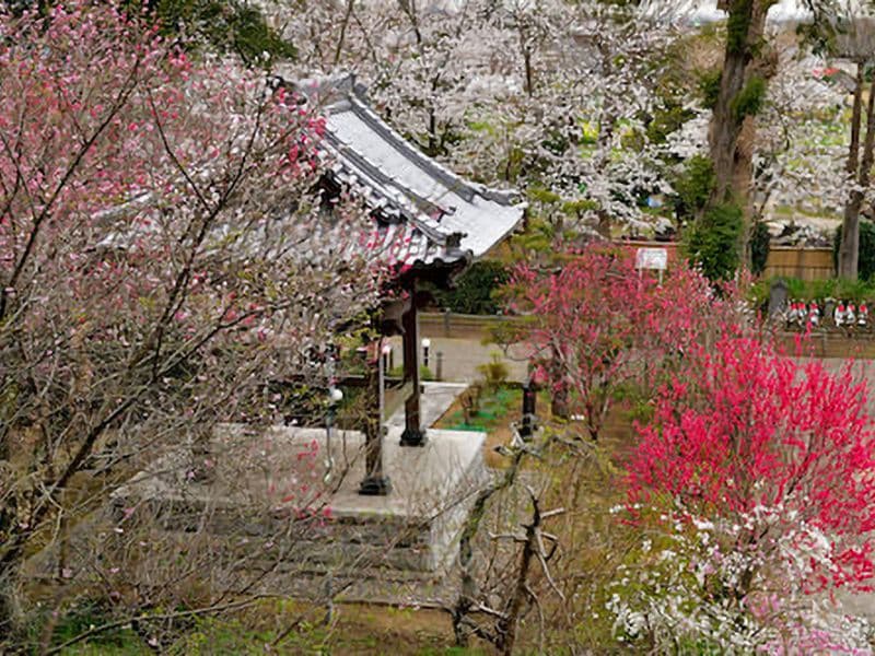 法巌寺 のうこつぼ