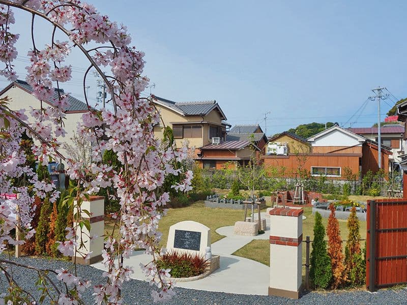 樹木葬「桜雲」