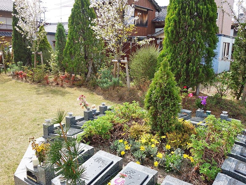 樹木葬「桜雲」