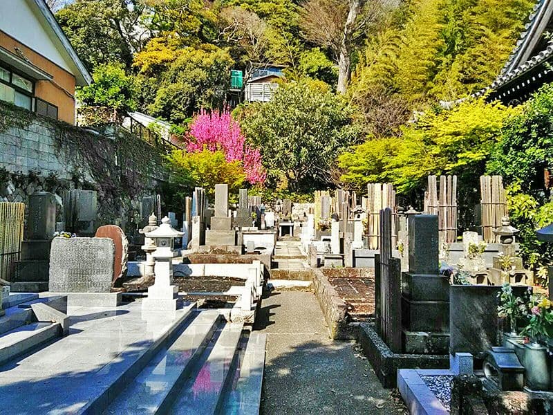 妙大寺　日の当たる墓域
