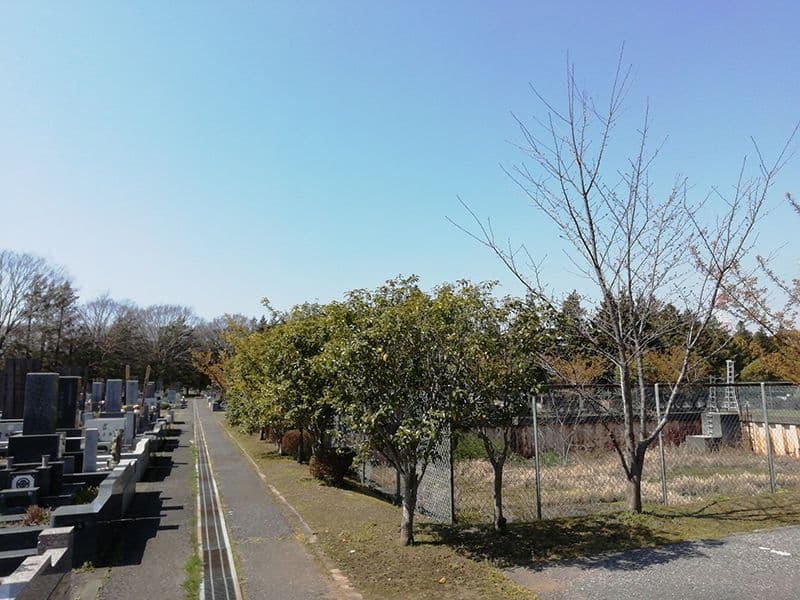 小室霊園