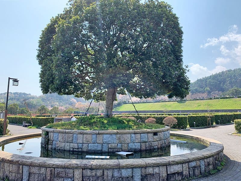日立市営 日立鞍掛山霊園