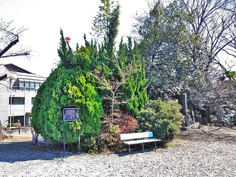 二度栗山墓苑　手入れが行き届いている植栽