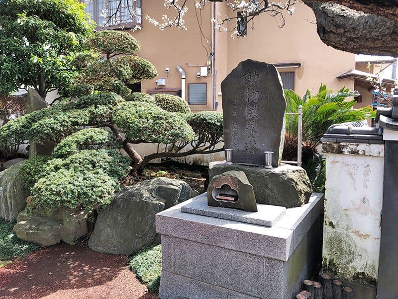心光寺