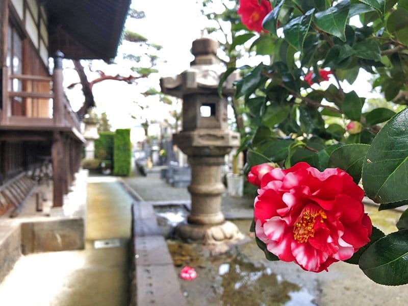 蓮昌寺