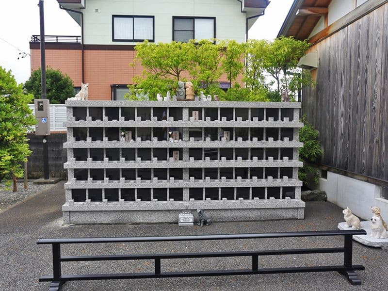 新定院