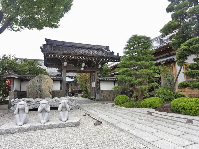 新定院