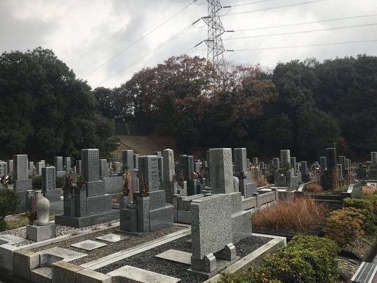 大阪狭山市営 西山霊園　剪定された植え込み
