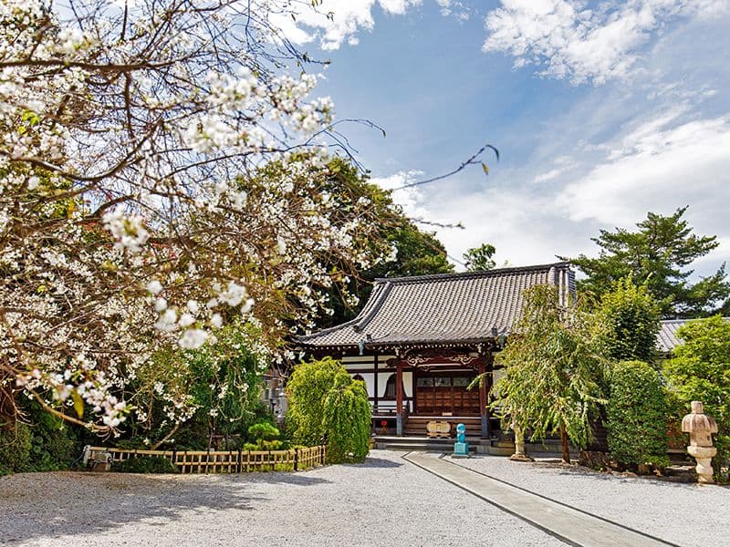 本長寺 樹木葬 星影～ほしかげ～