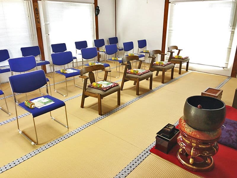 新高の紫苑
