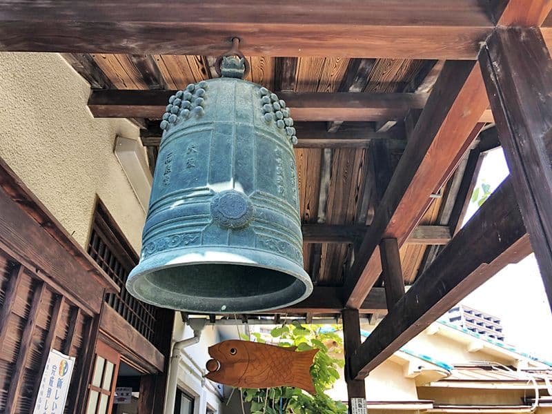 新高の紫苑