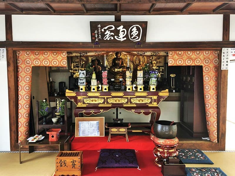 新高の紫苑