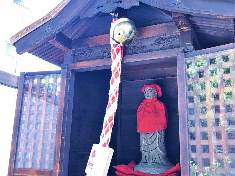 新高の紫苑