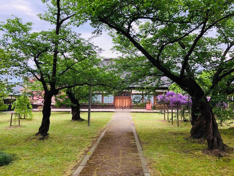 宝光寺 のうこつぼ