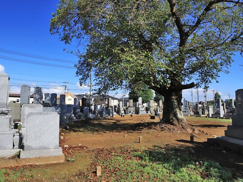 東まみあな公苑