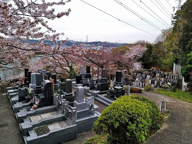 霊園やすらぎの丘　桜咲く墓域