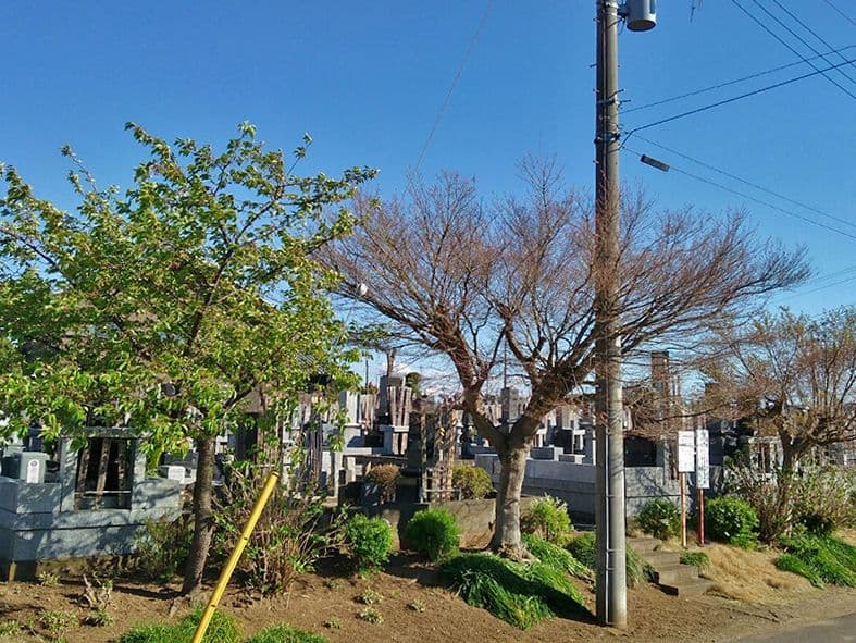 観音聖地霊園