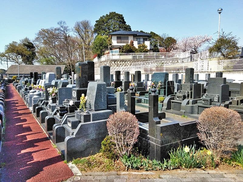想いでの丘「永遠の絆」