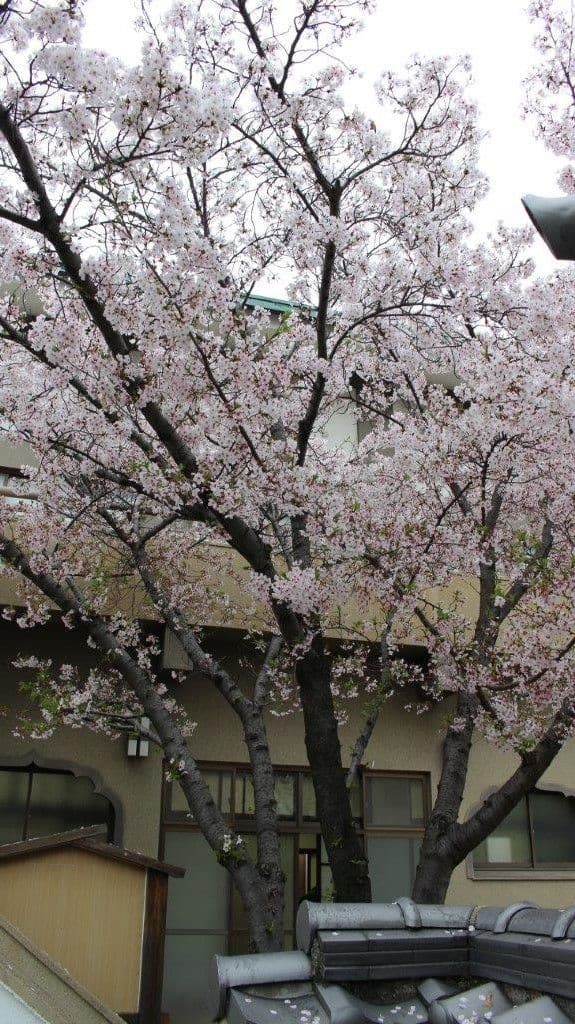 法園寺永代供養