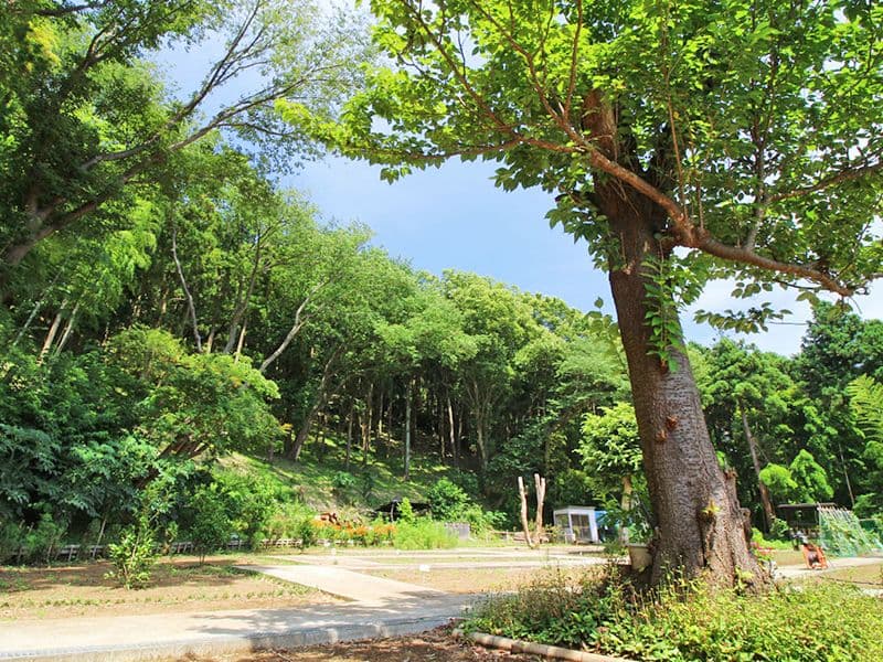 円覚寺白雲庵墓苑