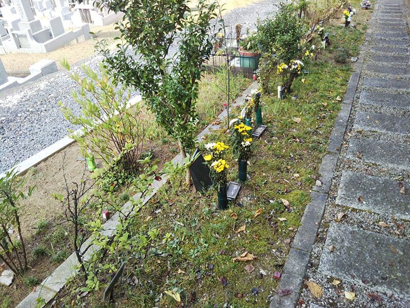 高平寺 樹木葬
