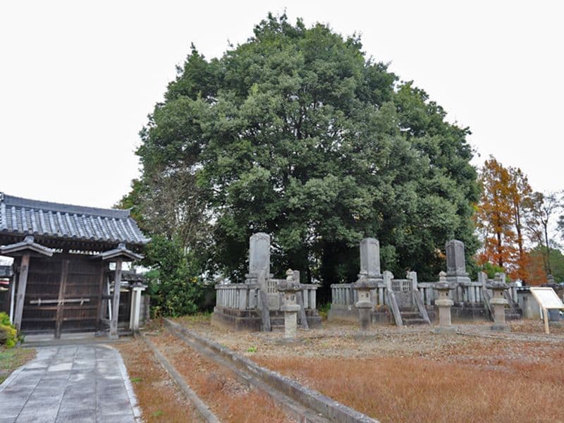 天祥寺