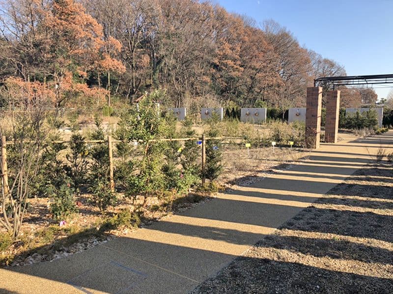 東京霊園