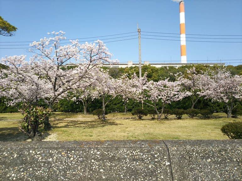 四国中央市営 新浜墓地