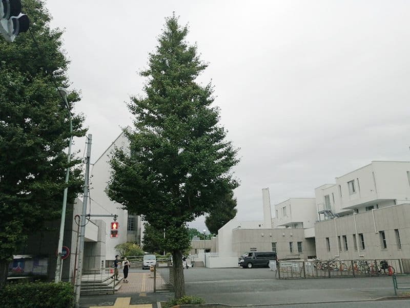東京カテドラル納骨堂