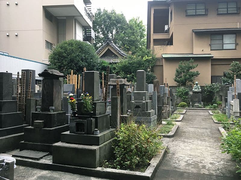 天陽院