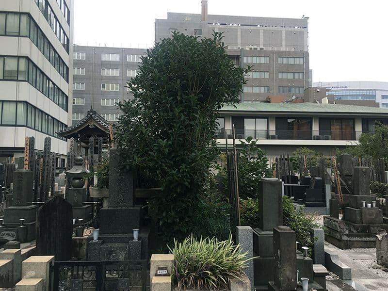 天龍寺