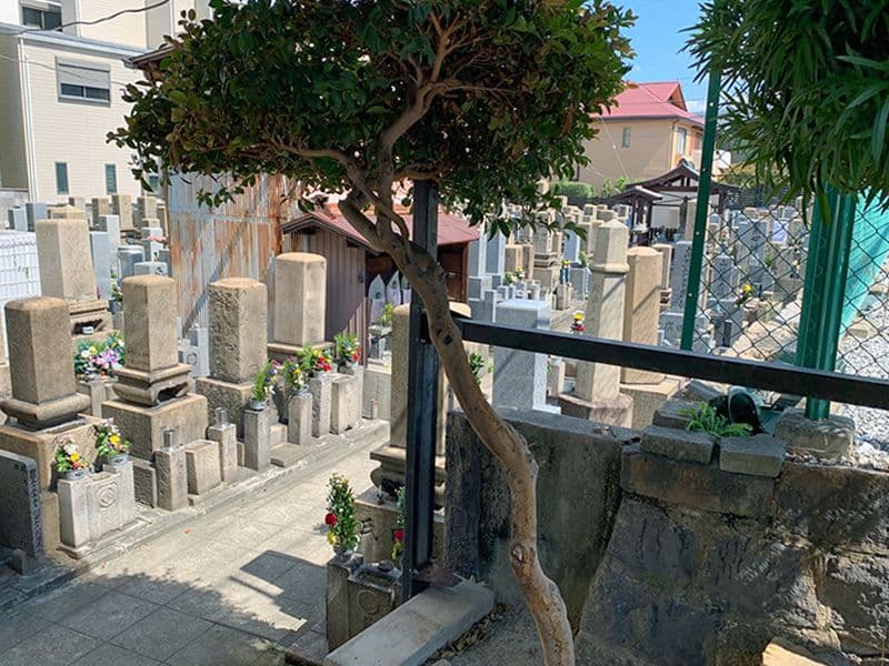今福墓地