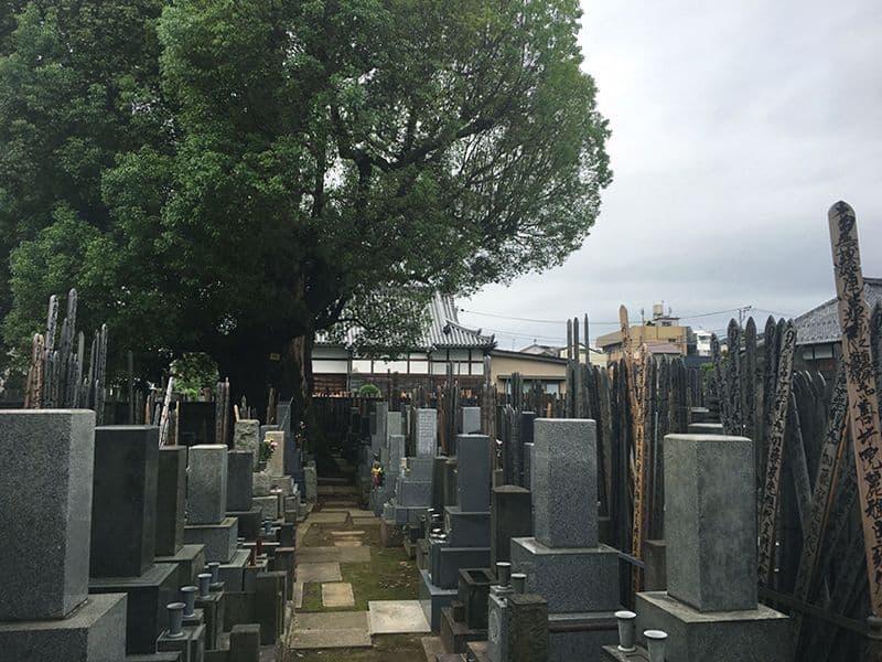 妙雲寺