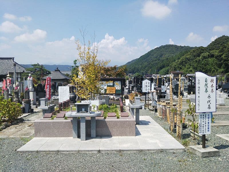 松源寺