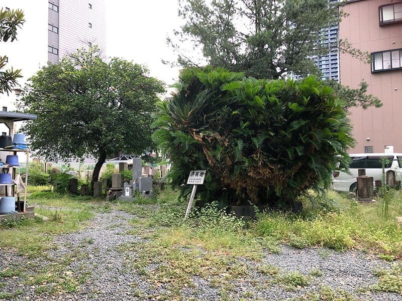 南浜霊園