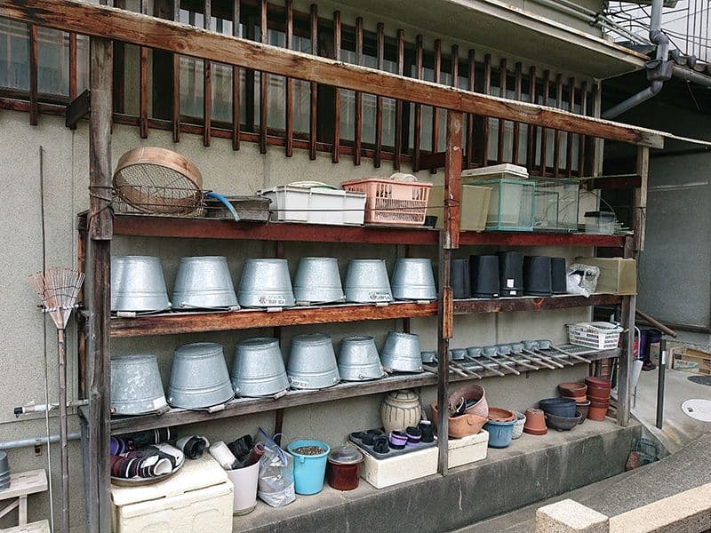 興徳寺