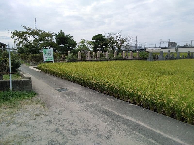 唐崎靖国共同墓地