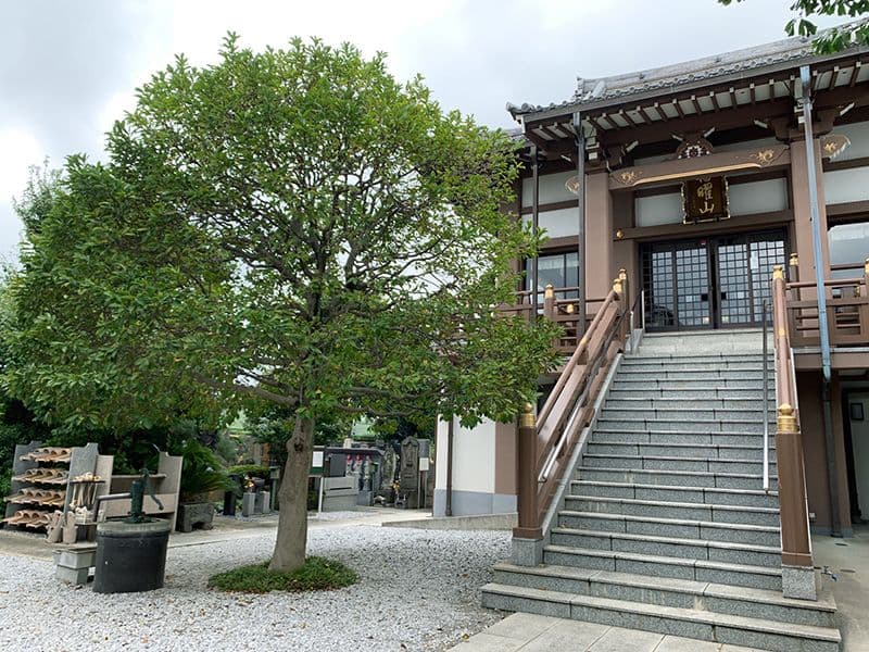 圓應寺（円應寺）
