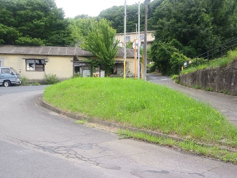 向山墓地
