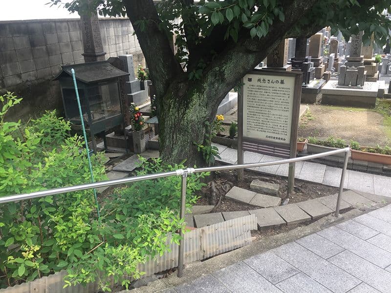尼崎市杭瀬墓地